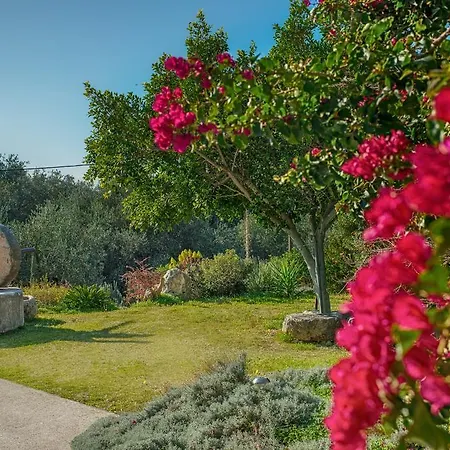 아파트 Evianna Mousata